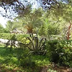 بيت للعطل Delle Agavi *
