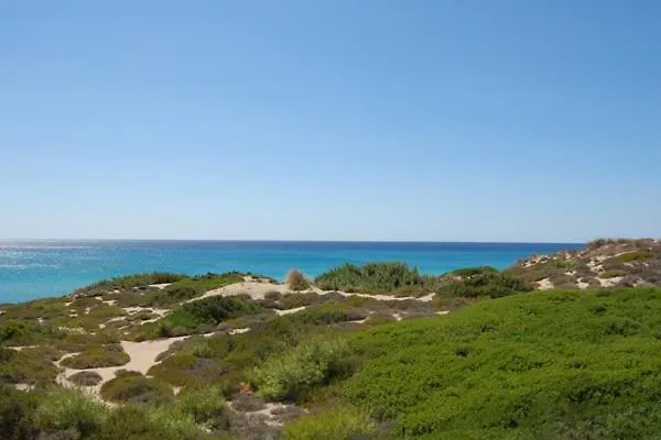 Delle Agavi