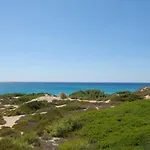 Delle Agavi