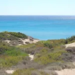 Delle Agavi