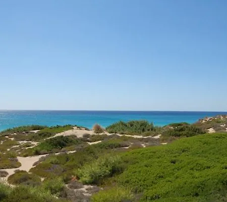Delle Agavi